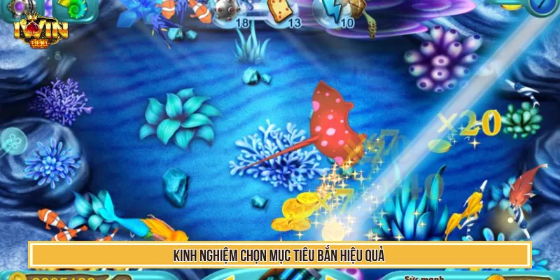 Kinh nghiệm chọn mục tiêu bắn hiệu quả